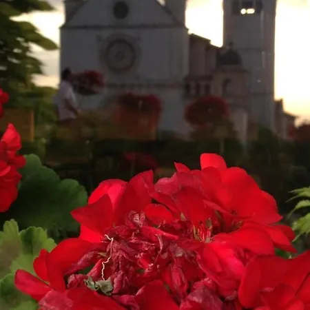 Le Dimore Arcangelo Maria * Ασίζη