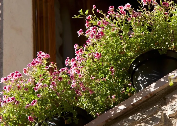 Le Dimore Arcangelo Maria Apartamento Asís