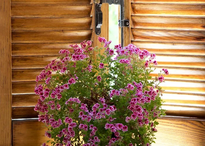 Le Dimore Arcangelo Maria Apartamento *