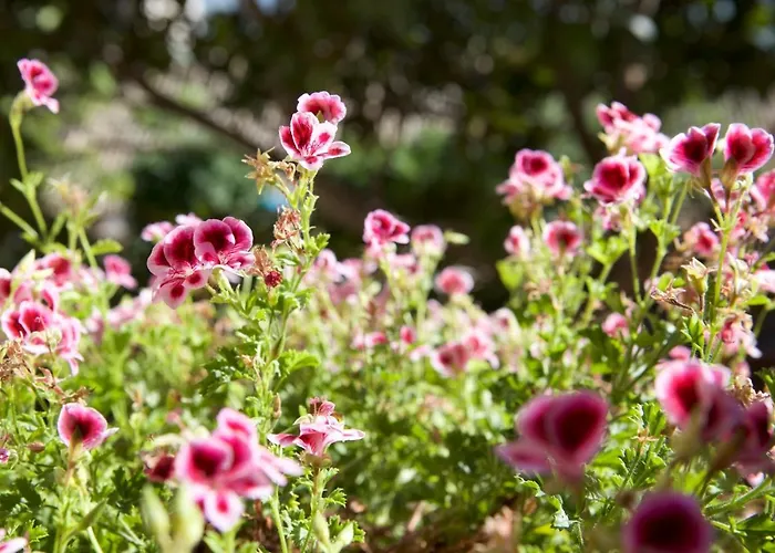 Le Dimore Arcangelo Maria