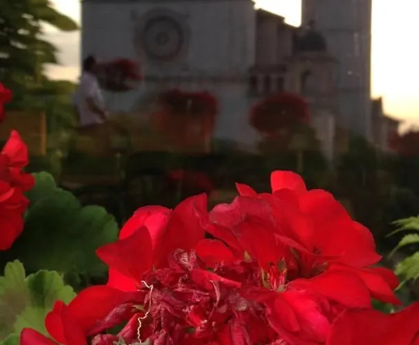 Le Dimore Arcangelo Maria * Asís