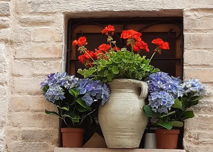 Le Dimore Arcangelo Maria Apartment